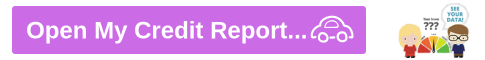 Open My Credit Report